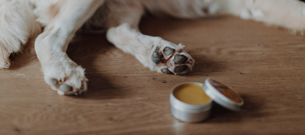 Pflegeprodukte für Hunde