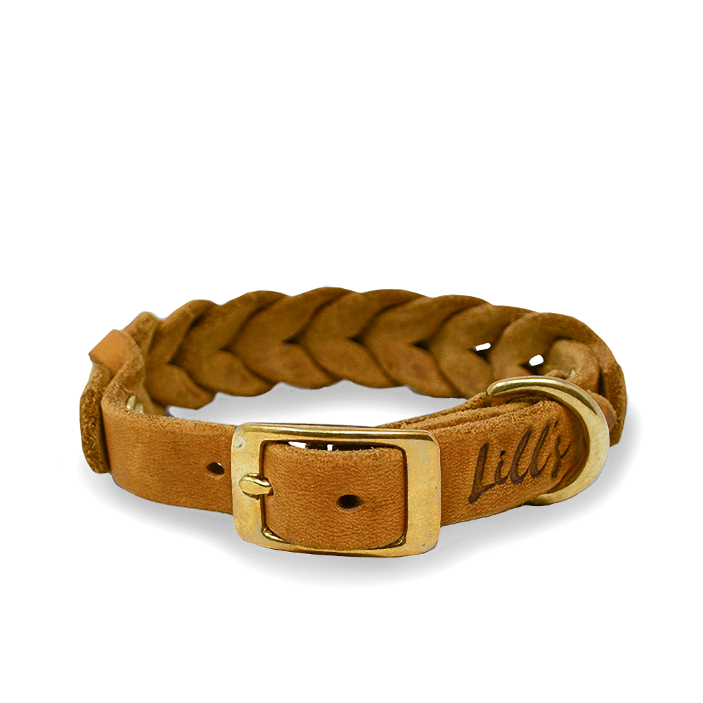 Hundehalsband aus Fettleder für kleine Hunde | Cognac