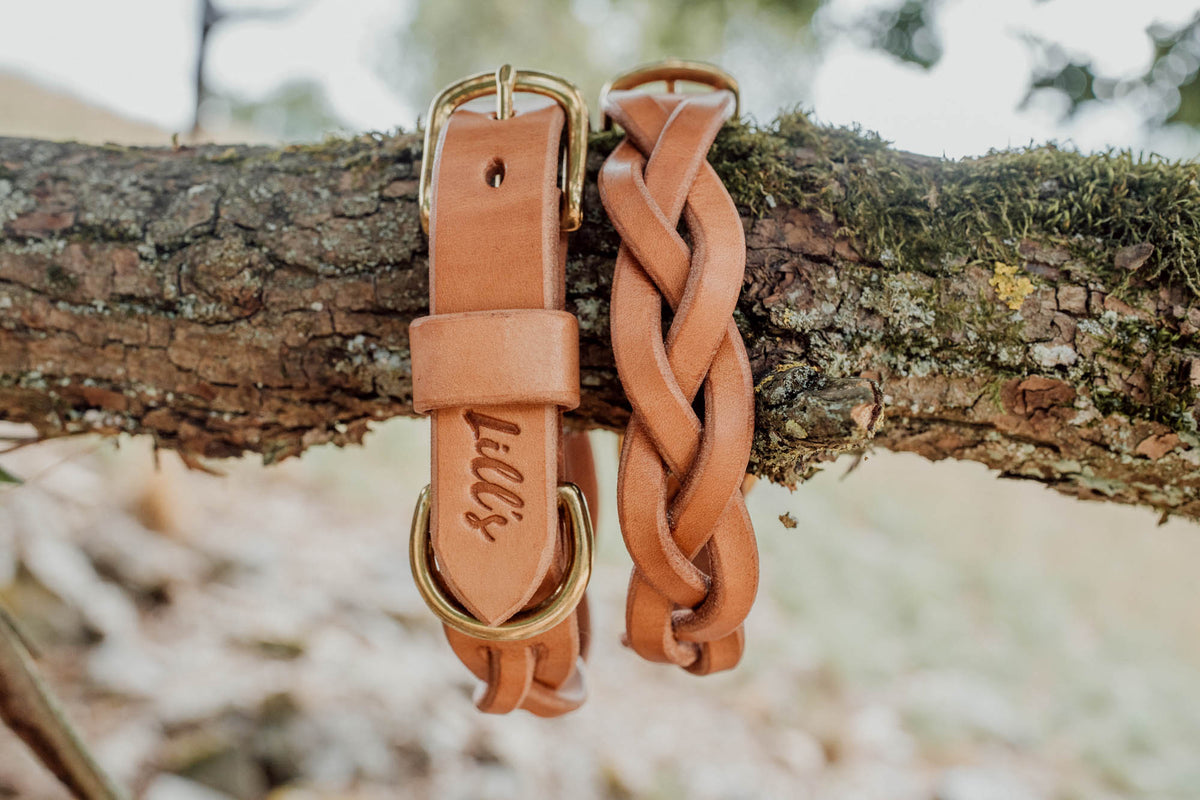 Geflochtenes Hundehalsband aus Leder