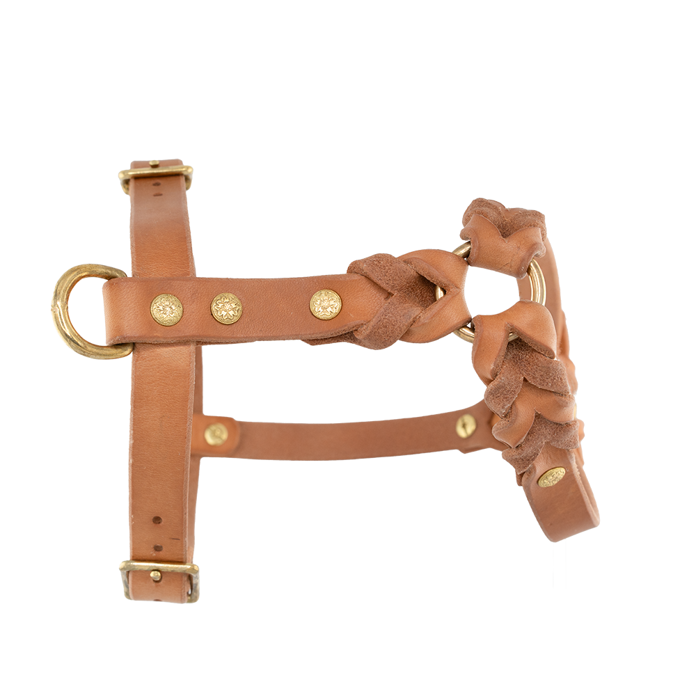Hundegeschirr aus Leder