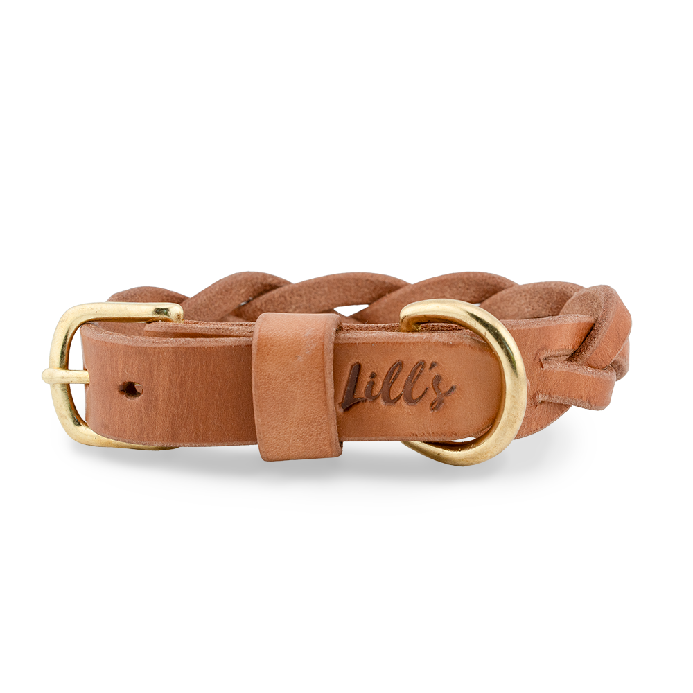 Geflochtenes Hundehalsband aus Leder