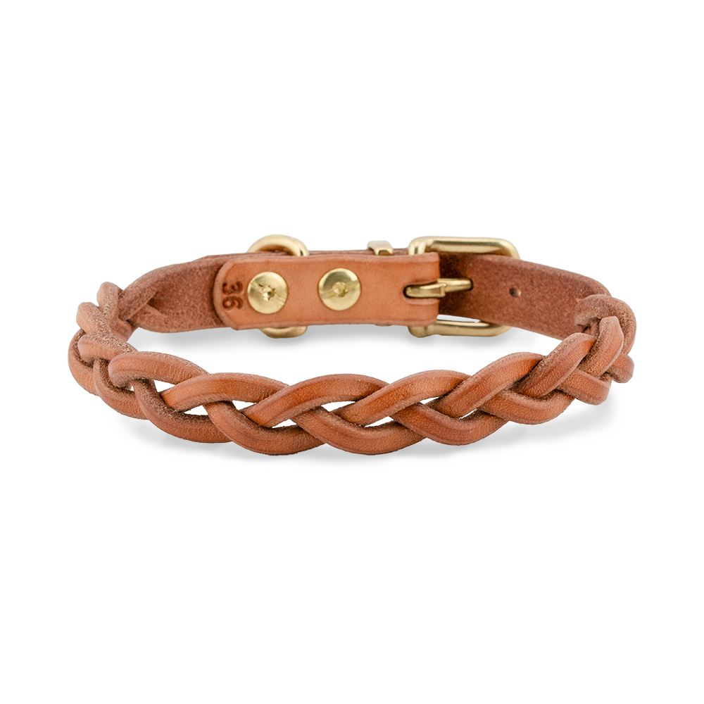 Hundehalsband aus Leder für kleine Hunde