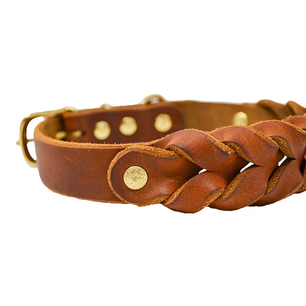 Hundehalsband aus Fettleder | Cognac