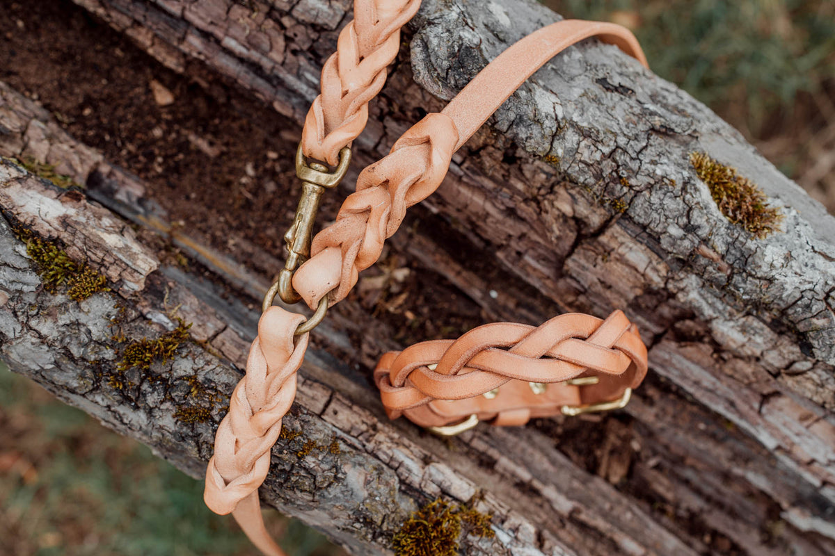 Geflochtenes Hundehalsband aus Leder