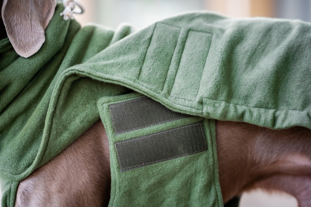 Lills Hundepullover Olive Detail Klettverschluss