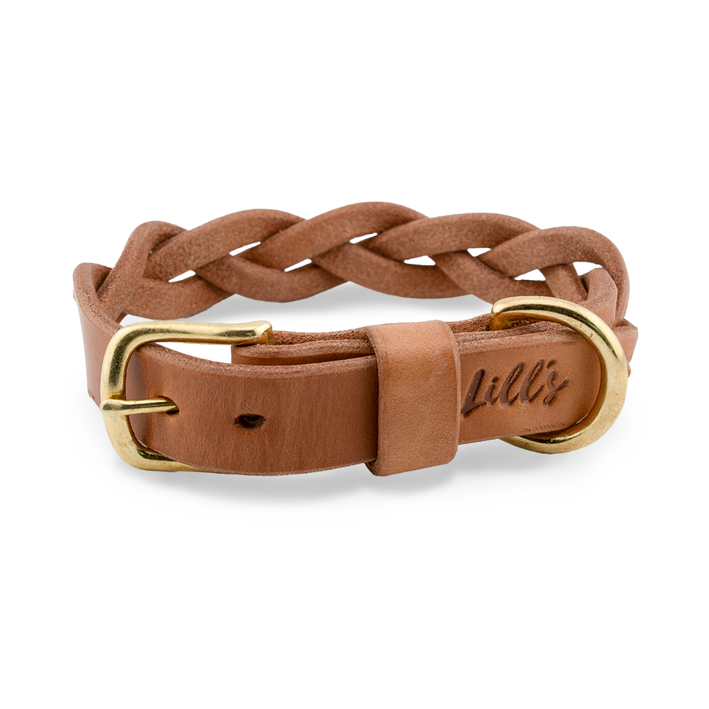 Geflochtenes Hundehalsband aus Leder