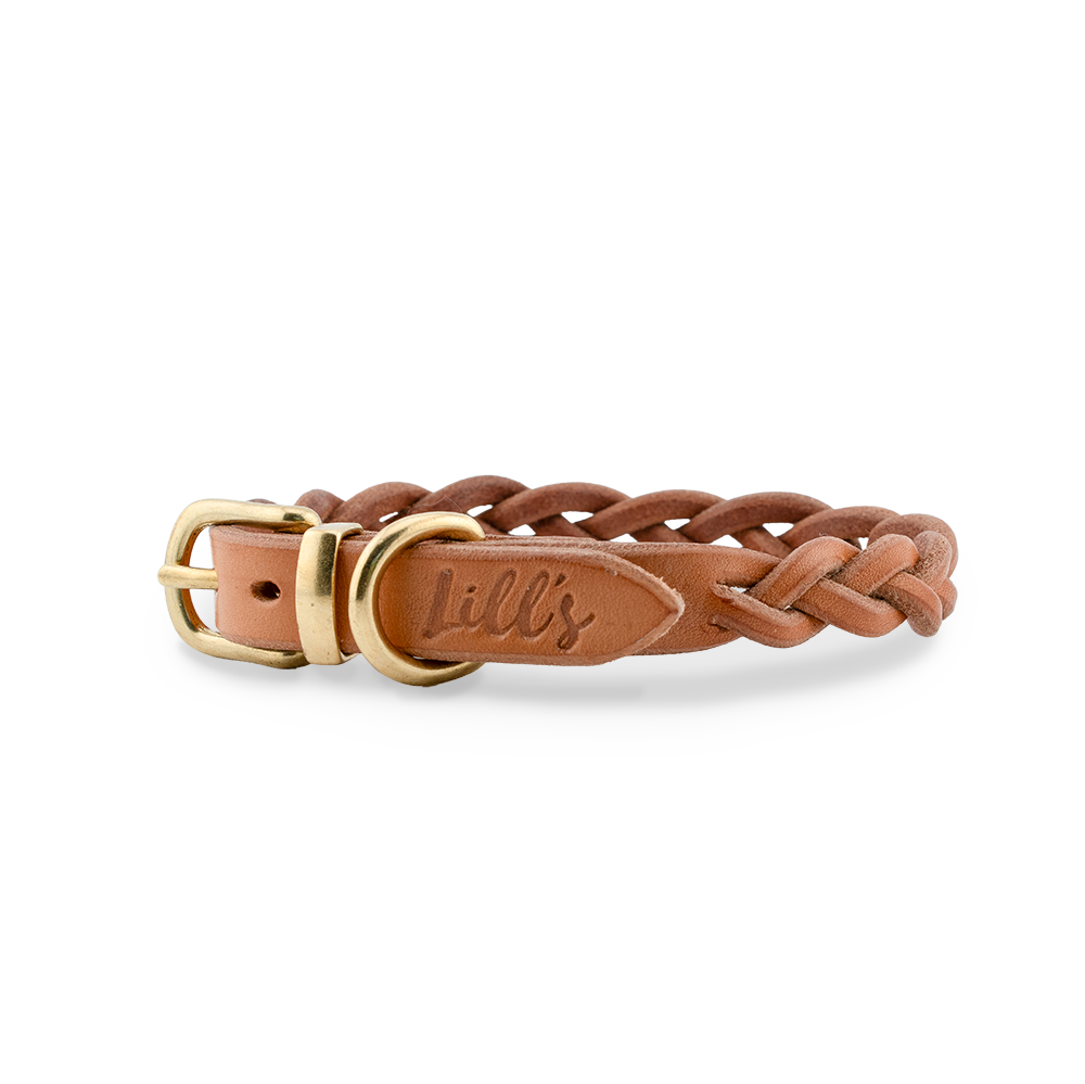 Hundehalsband aus Leder für kleine Hunde
