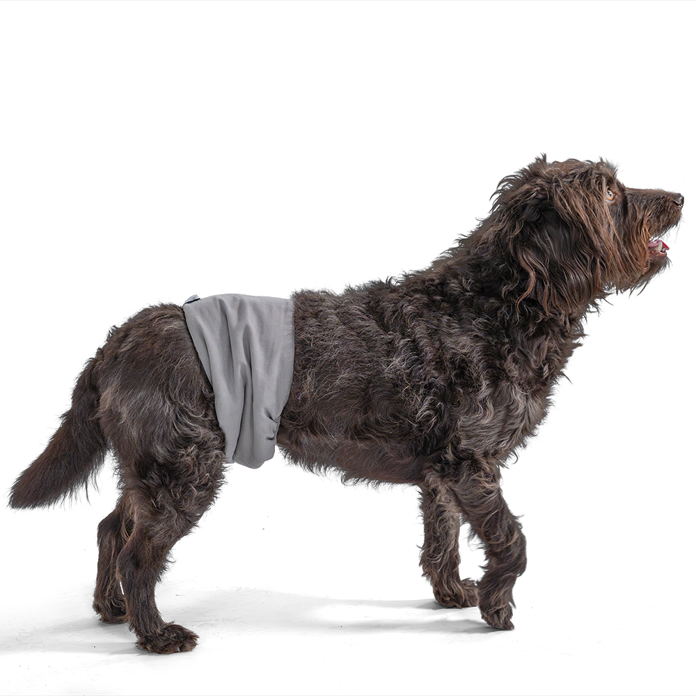 Lill's Rüdenhose Stone Grey